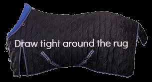 made to measure rugs made by Rugworks, Turriff, Aberdeenshire